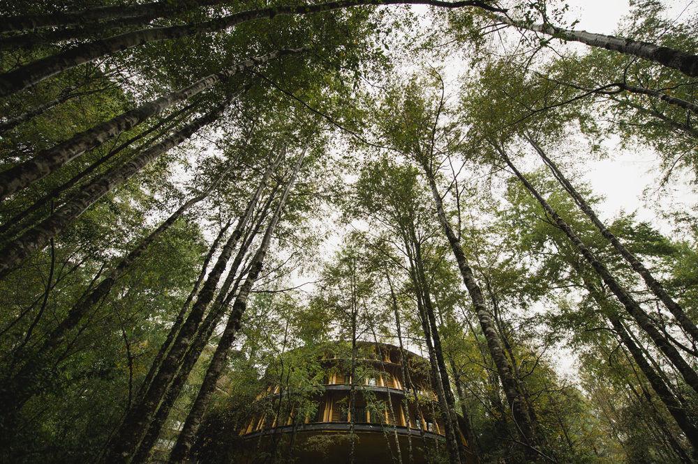 Huilo Huilo Reino Fungi Villa Puerto Fuy Exterior photo